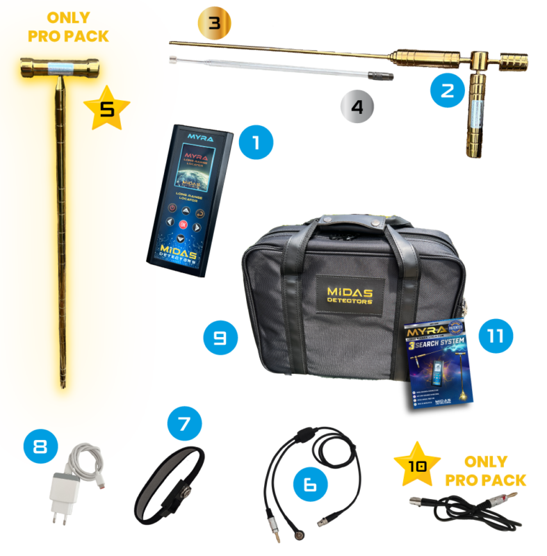 11111ASDASDASDASDASDSADAS 787x800